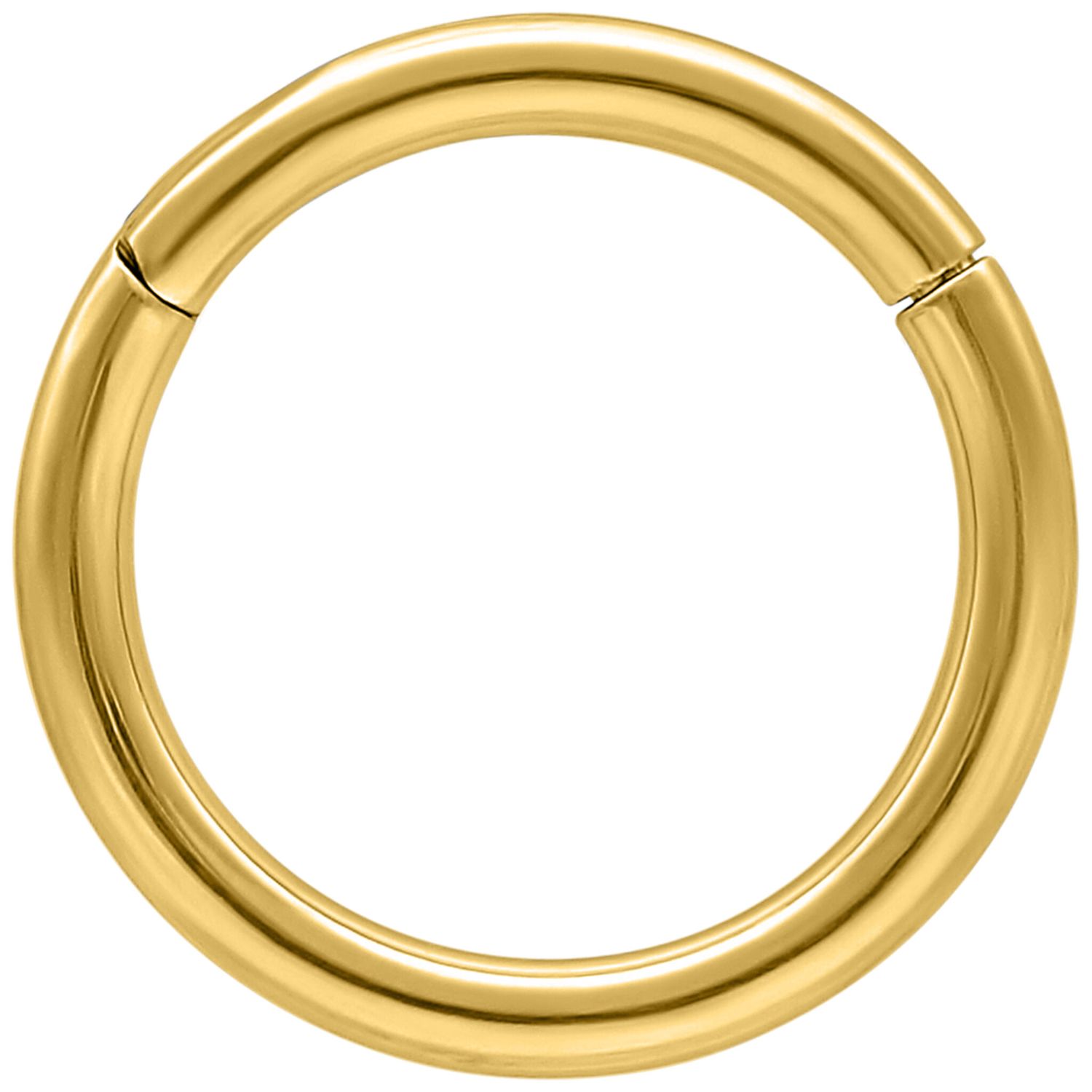 1,6 mm Gold PVD Stainless Steel Clicker Segment Ring 1,6 mm Gold PVD Stainless Steel Clicker Segment Ring