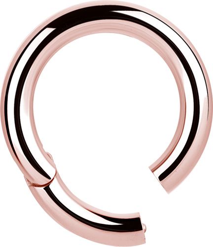 2,4 mm Rosegold PVD Stainless Steel Clicker Segment Ring