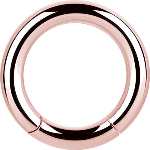 2,4 mm Rosegold PVD Stainless Steel Clicker Segment Ring
