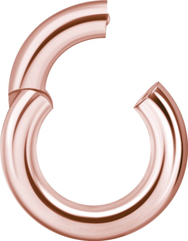 5 mm Rosegold PVD Stainless Steel Clicker Segment Ring