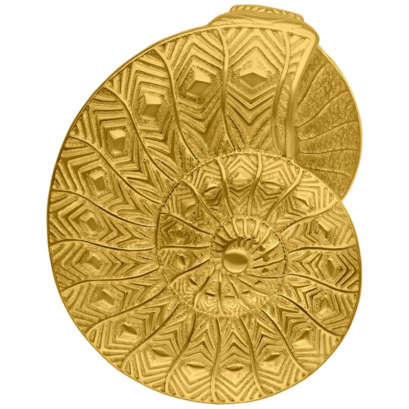 Stainless Steel Ammonite Ear Weights