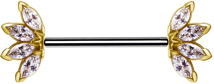 18K Solid Gold & Titanium Nipple Barbell - Marquise Fan