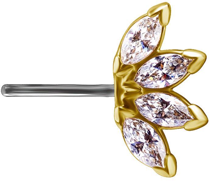 18K Solid Gold & Titanium Nipple Barbell - Marquise Fan