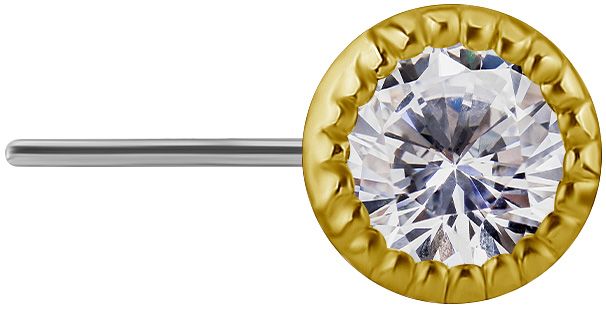 18K Solid Gold & Titanium Nipple Barbell - Millgrain Bezel