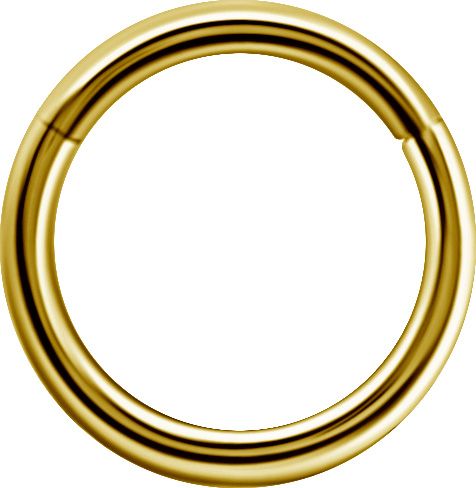 1,2 mm 18K Solid Gold Clicker Segment Ring