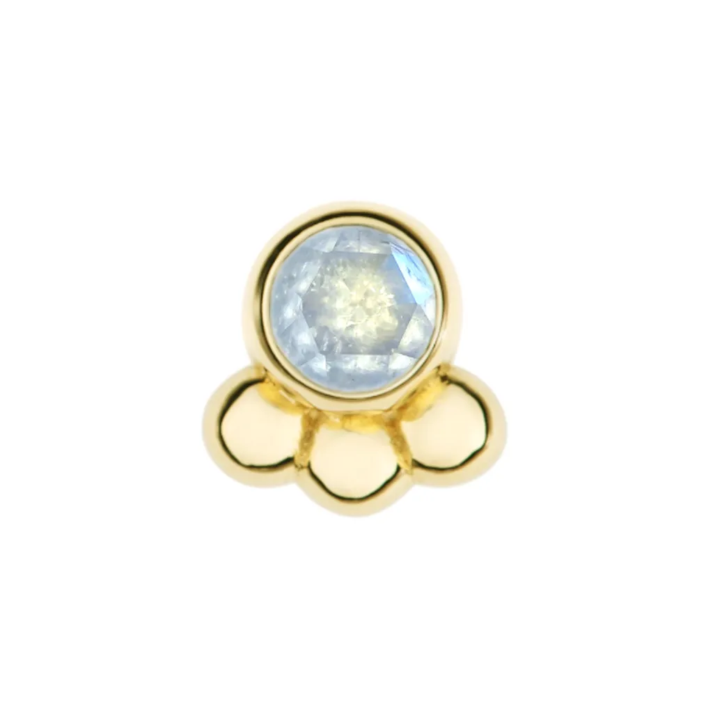 Alchemy Adornment 14K Solid Yellow Gold Dani - 2 mm Rose Cut Genuine Moonstone