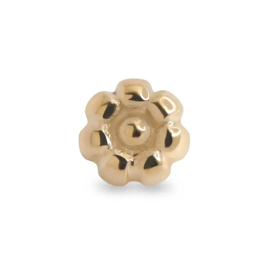 Alchemy Adornment 14K Solid Yellow Gold Beaded Circle