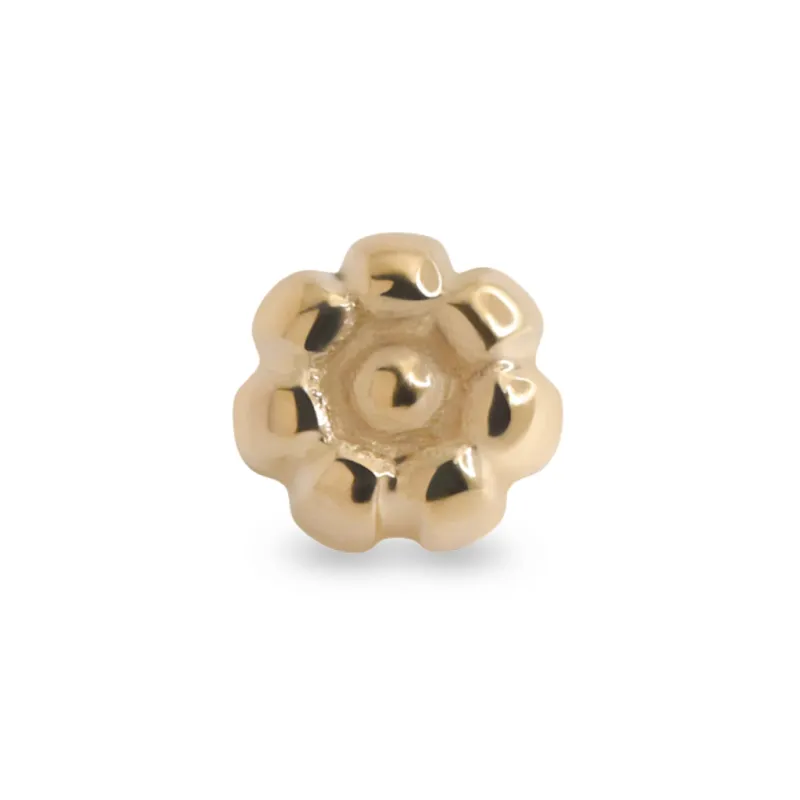 Alchemy Adornment 14K Solid Yellow Gold Beaded Circle