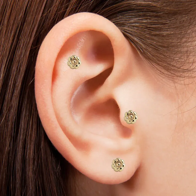 Alchemy Adornment Beaded Circle Threadless End