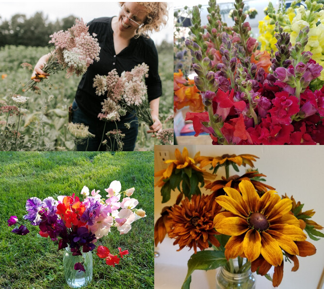 Tray of Cool-Loving Plants for Cut Flowers