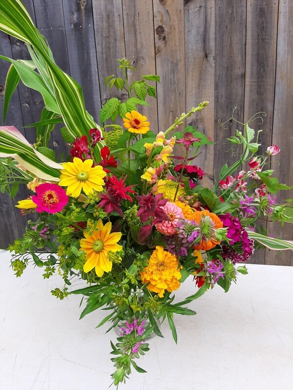 Jumbo Bouquet for Celebration
