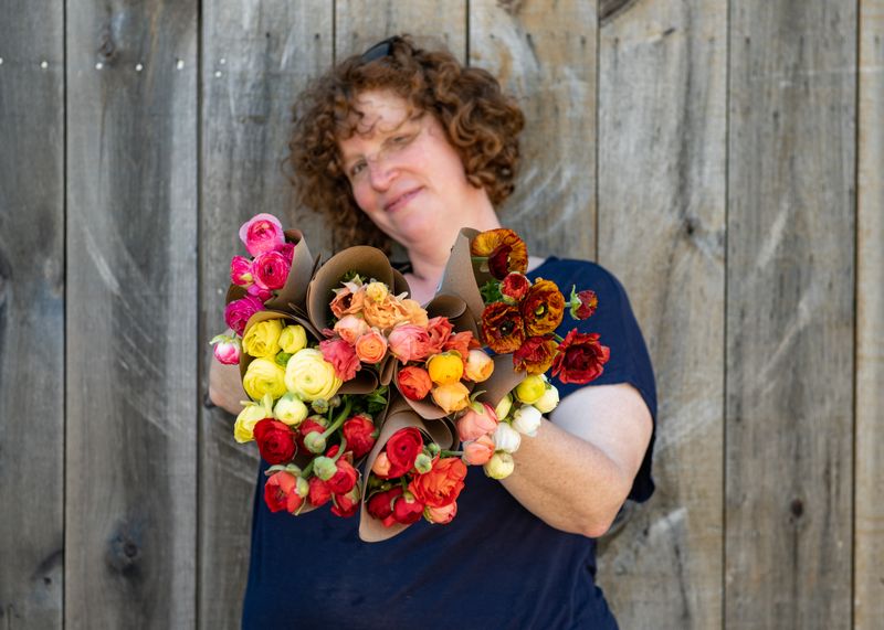 Ranunculus Revelry Bouquet Subscription Spring 2026