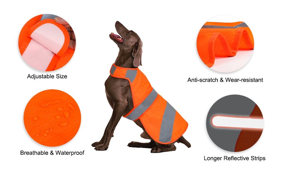 Reflective Dog Vest