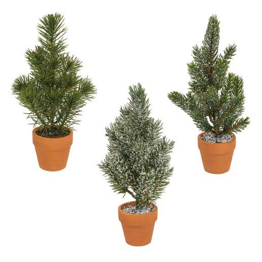 10&quot; Mini Tree in Terra Cotta Pot