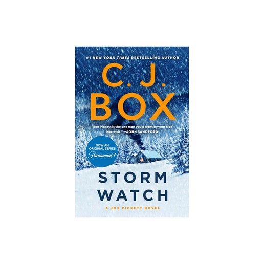 Storm Watch - (Joe Pickett Novel) by C J Box