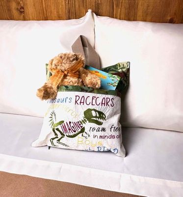 Dinosaur Reading Pillow