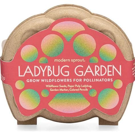 Lady Bug Garden by Modern Sprout