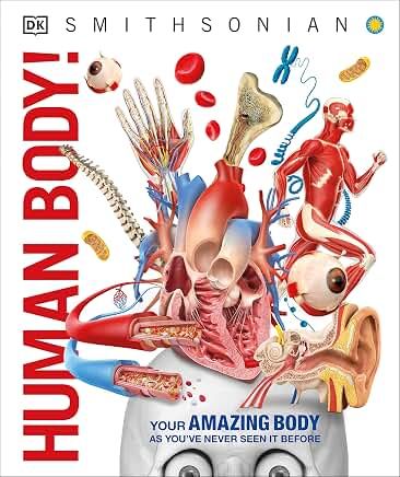 Human Body! Your Amazing Body As You've Never Seen It Before