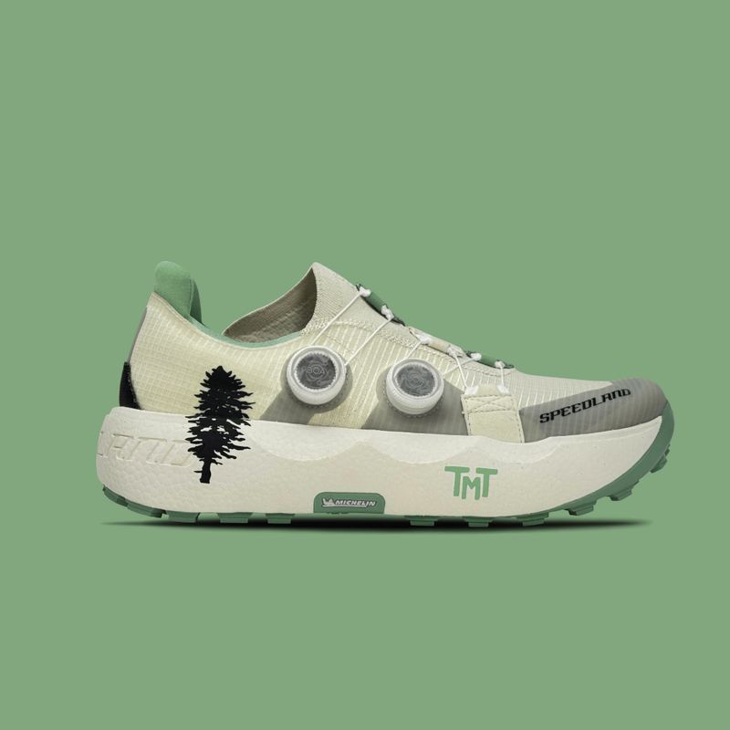 GS:TMT