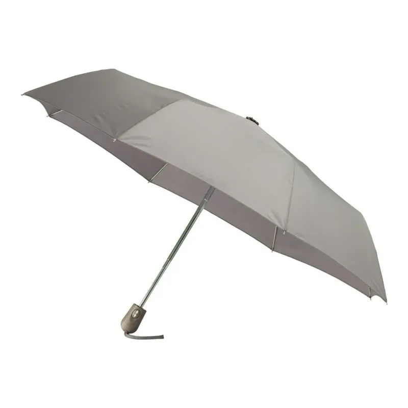Automatic Umbrella, front view