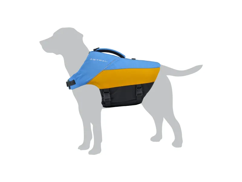 Astral Bird Dog Ol Blue S, front view