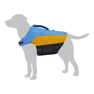 Astral Bird Dog Ol Blue S, main view