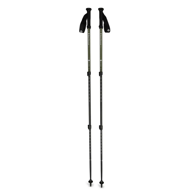 Black Diamond Explorer 3 Trekking Poles, front view