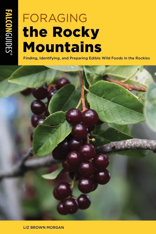 Foraging the Rocky Mountains, front view