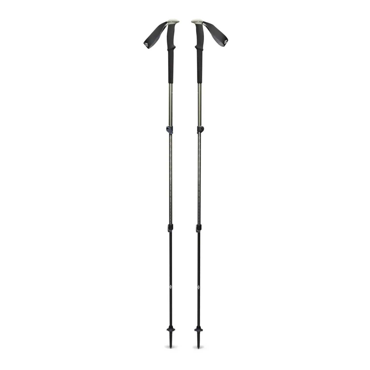 Ski and Trekking Pole Rental, front view