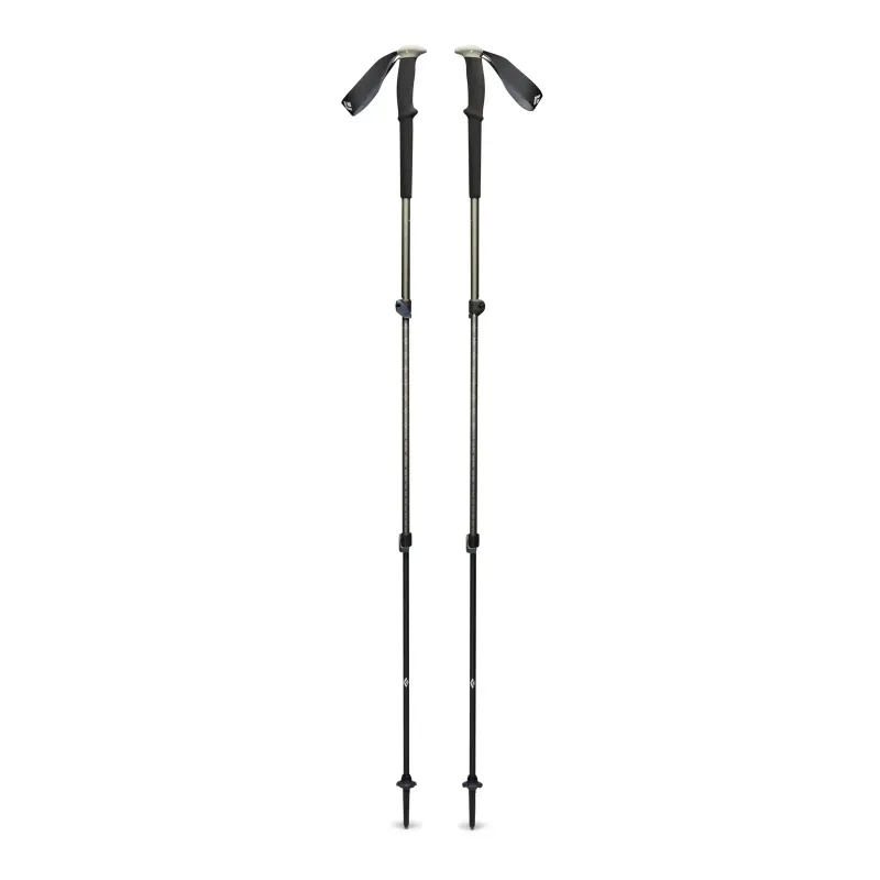 Ski and Trekking Pole Rental, front view
