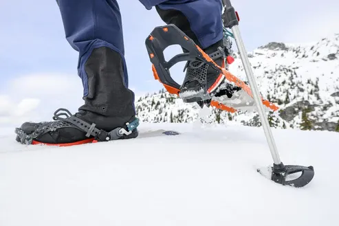 MSR Men's Revo Explore