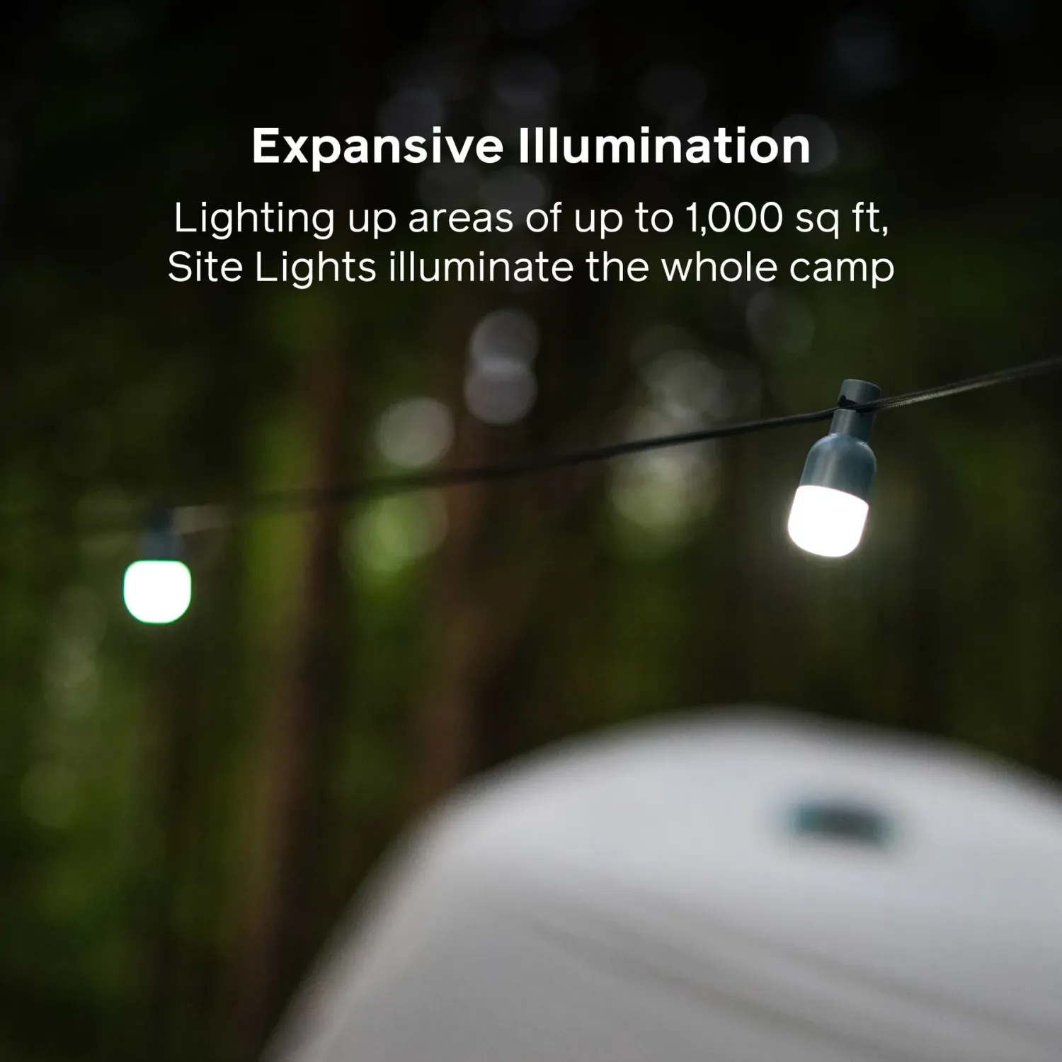 Biolite Site Lights