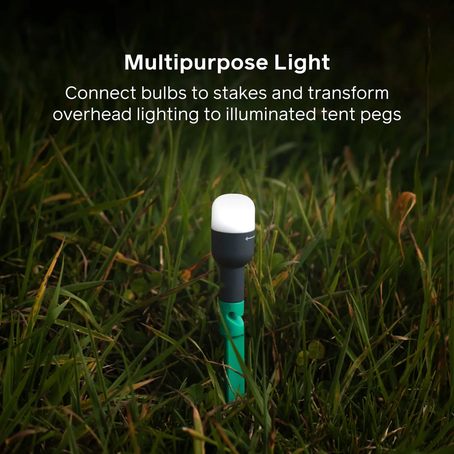 Biolite Site Lights