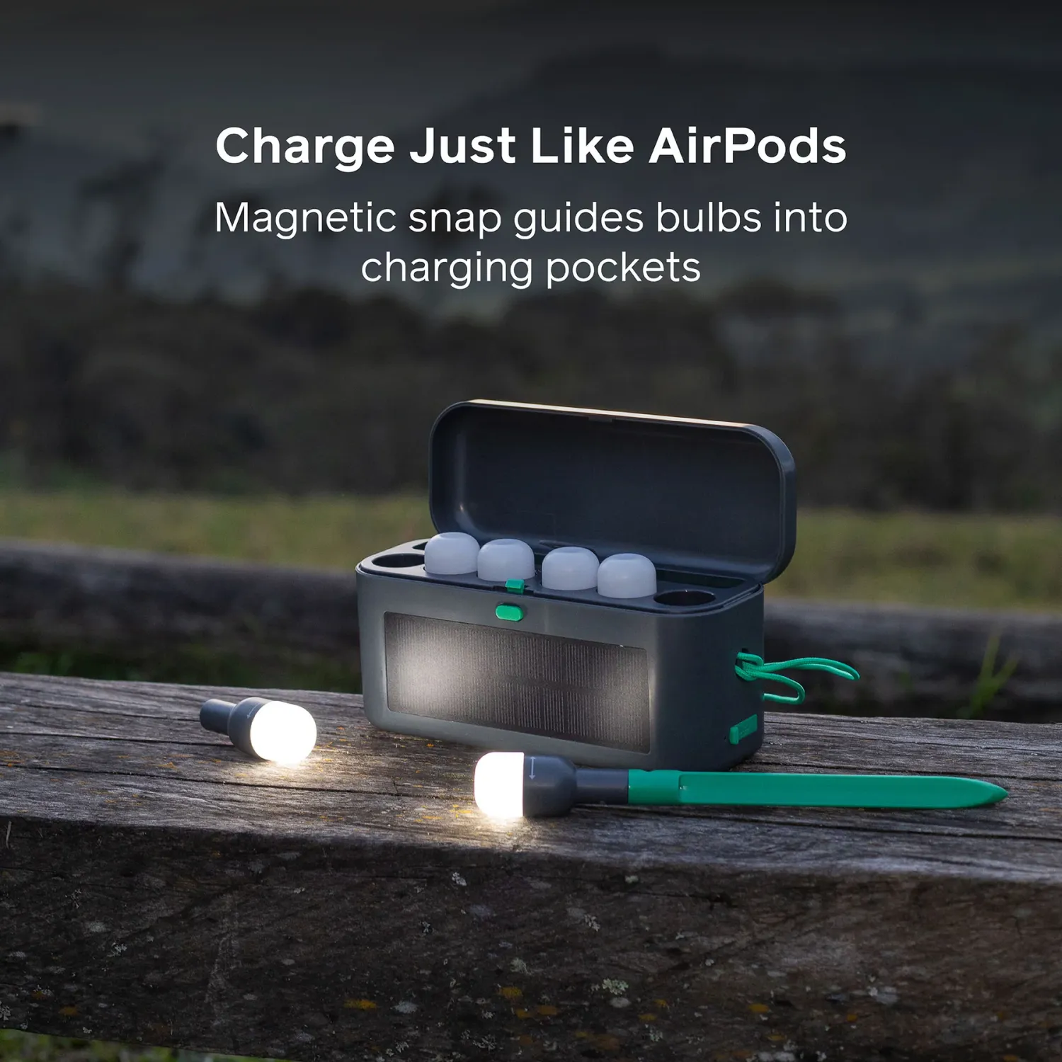 Biolite Site Lights