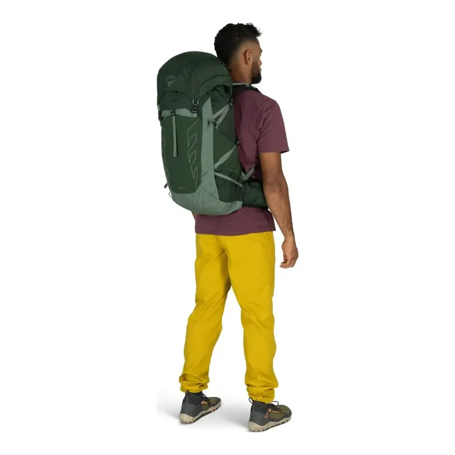Osprey Talon 33 Multi-Sport Pack in Greencanopypineleaf Resized, alternate view 4