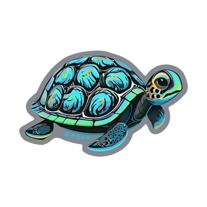 NoSo Turtle