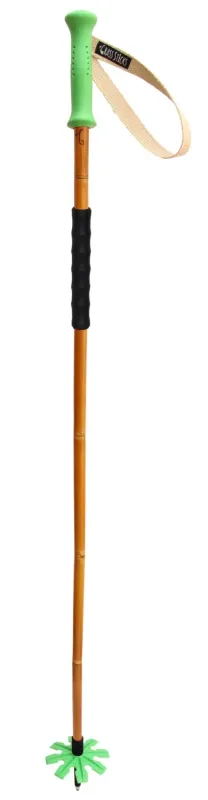 Grass Sticks Touring Ski Poles, front view