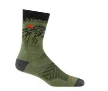1066 - Darn Tough Vert Micro Crew Ultra-Lightweight with Cushion, front view