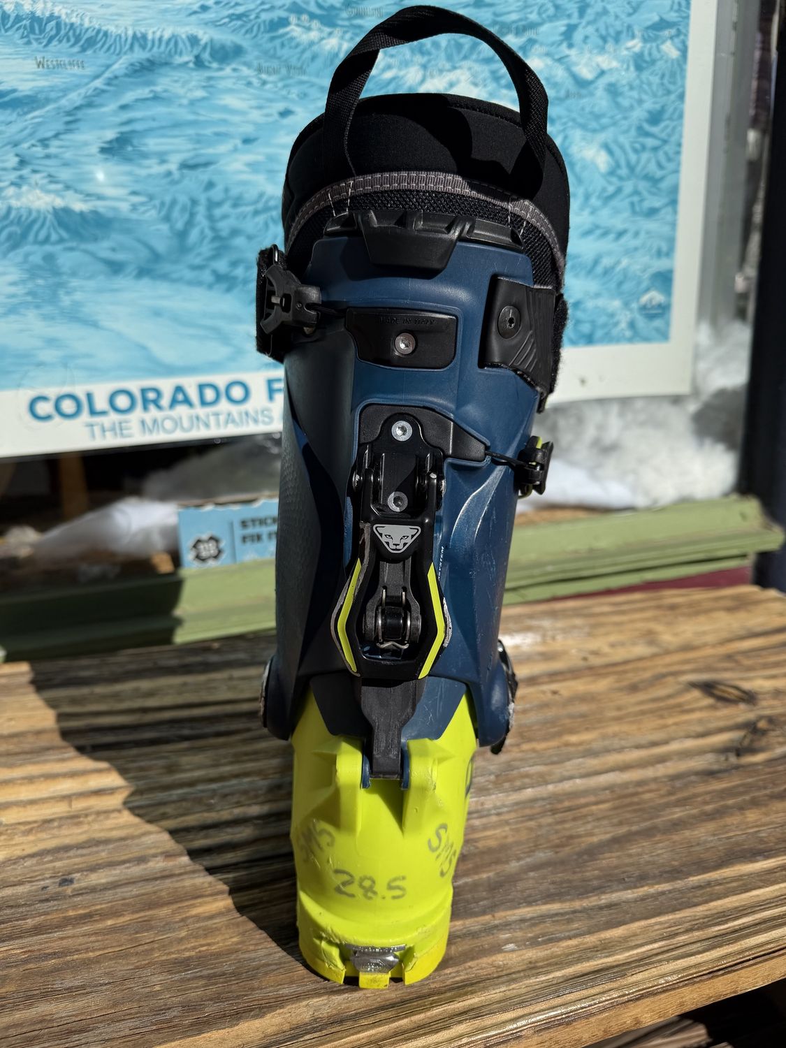 2023 Dynafit Radical Pro 28.5 Yellow — Demo