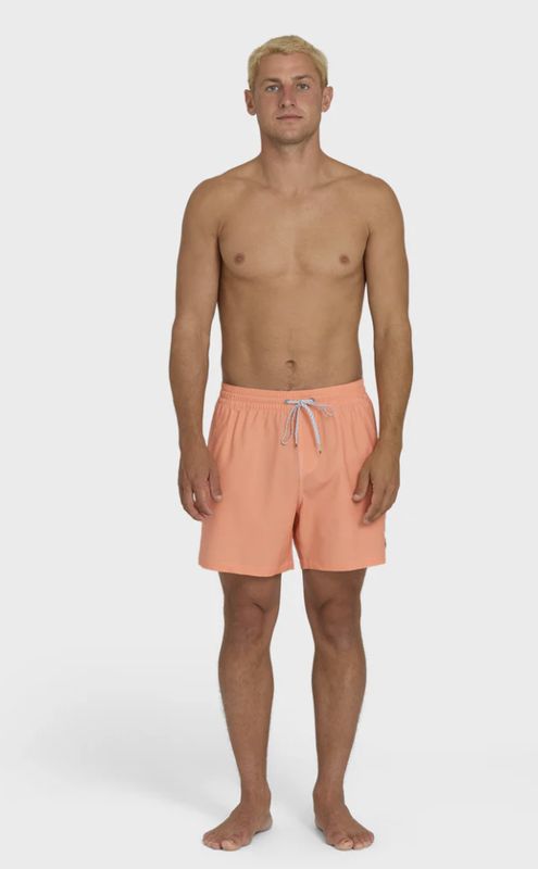 Billabong Men's Every Other Day WW Layback Trunks