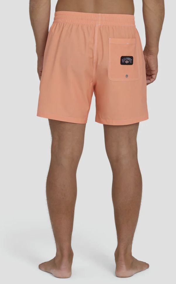 Billabong Men's Every Other Day WW Layback Trunks