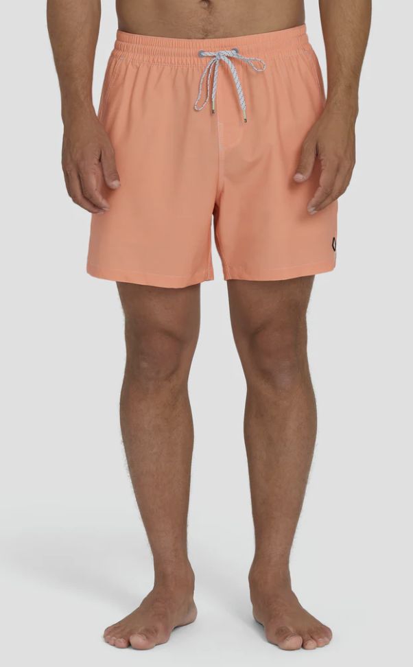 Billabong Men's Every Other Day WW Layback Trunks