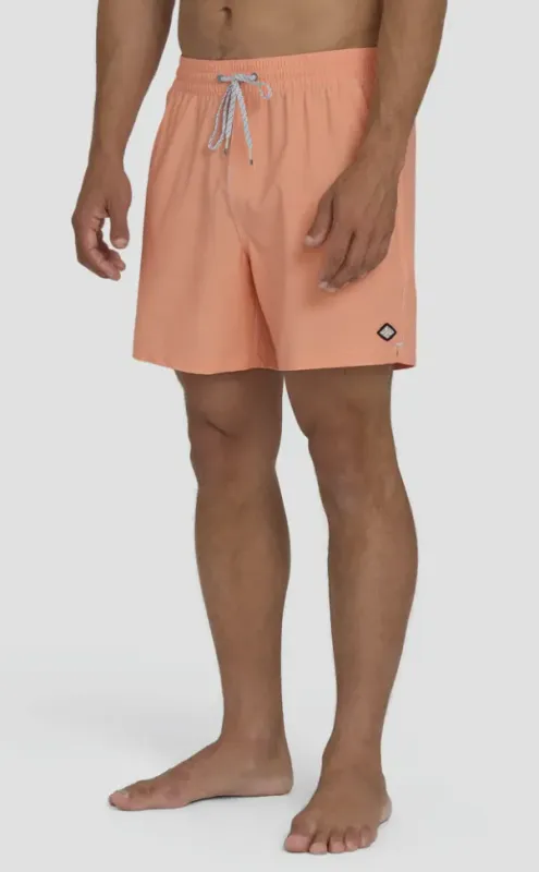 Billabong Men's Every Other Day WW Layback Trunks, front view