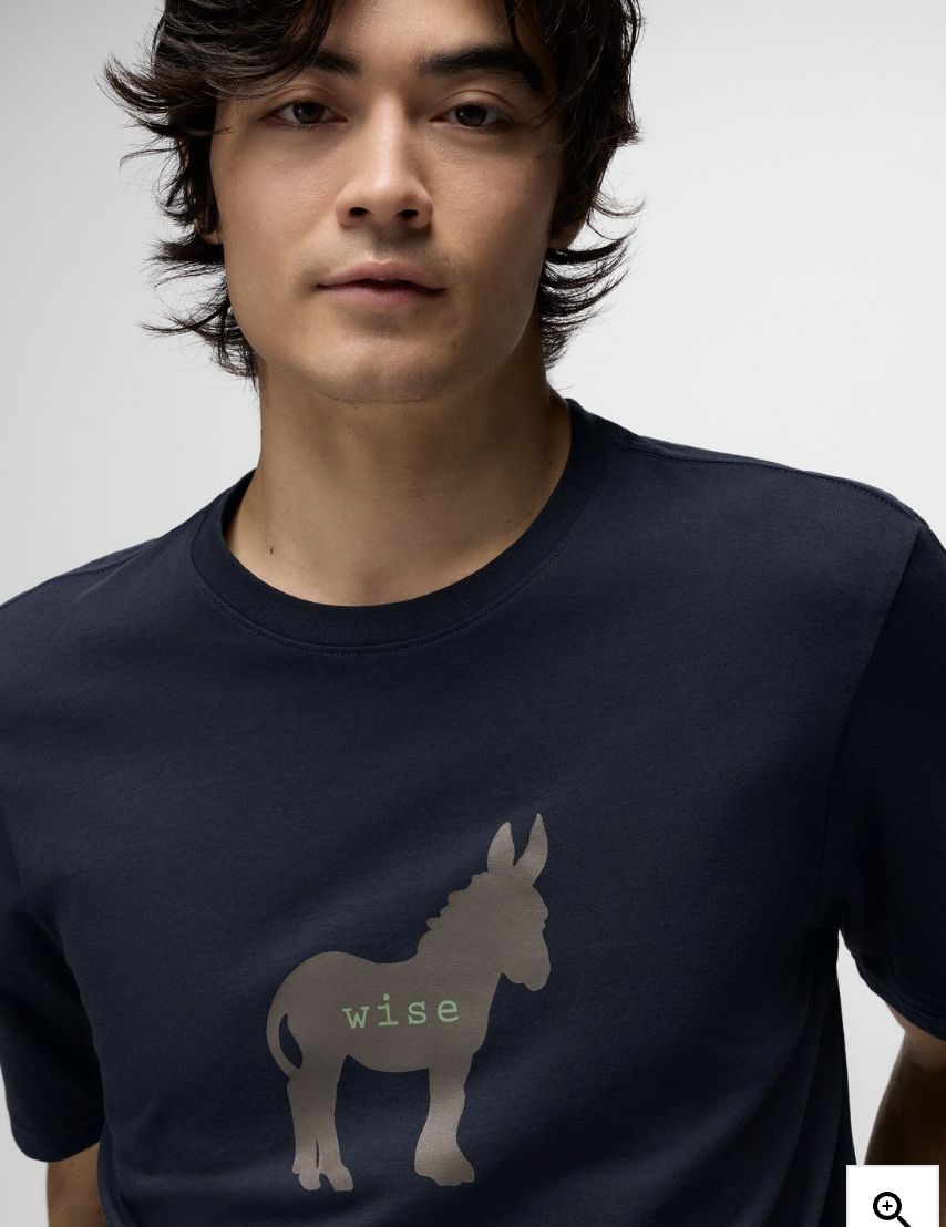Prana Men's Wise Ass Journeyman Tee
