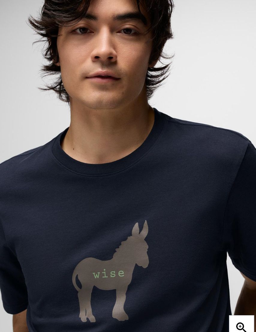 Prana Men's Wise Ass Journeyman Tee