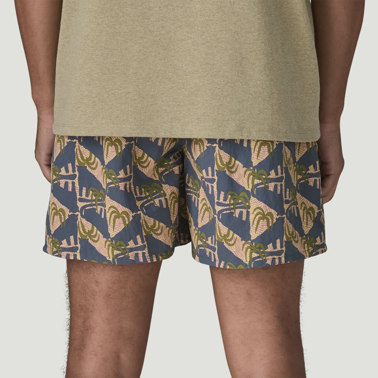 Patagonia Men's Baggies Shorts 5"