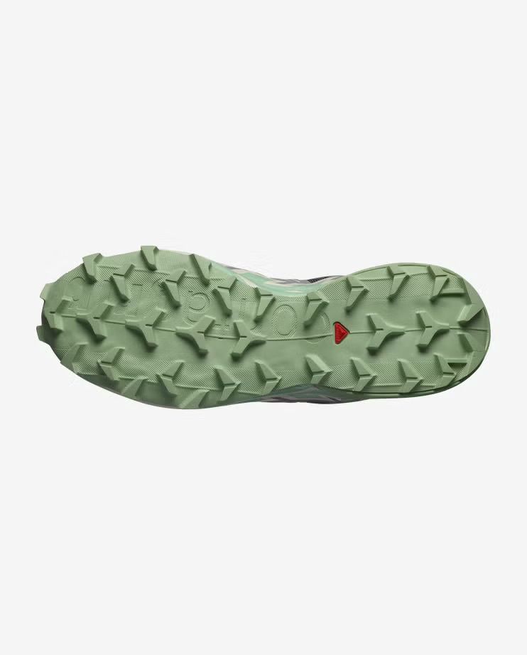 Salomon Speedcross 6