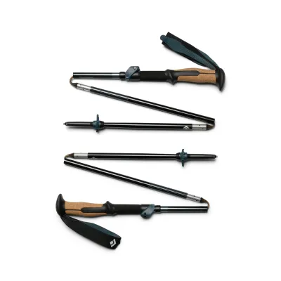 Black Diamond Trail Vista FLZ Trekking Poles, front view