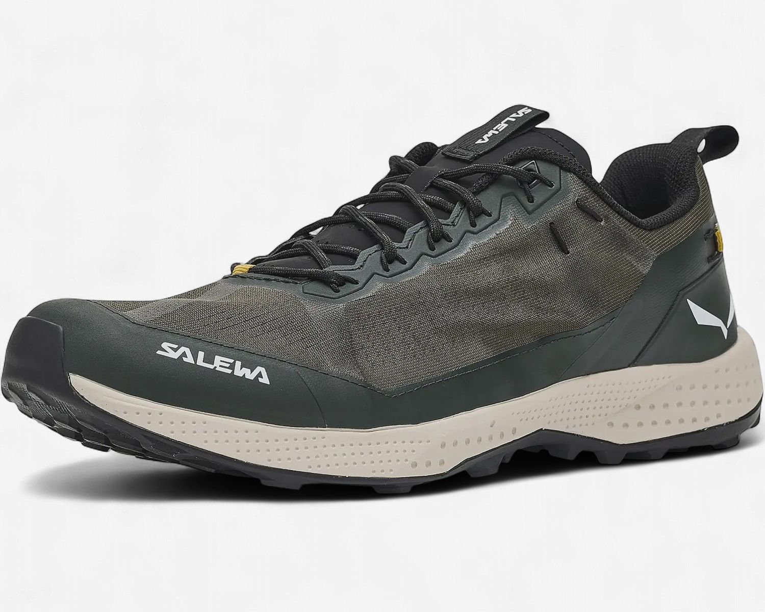Salewa Men's Pedroc Light