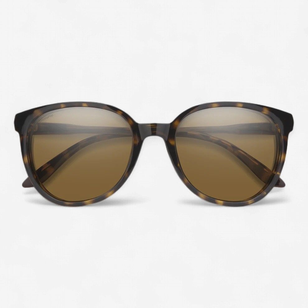 Smith Cheetah